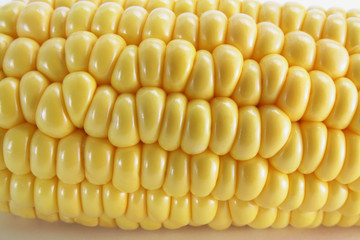 Corn Cob