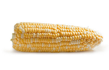 Corn on the cob