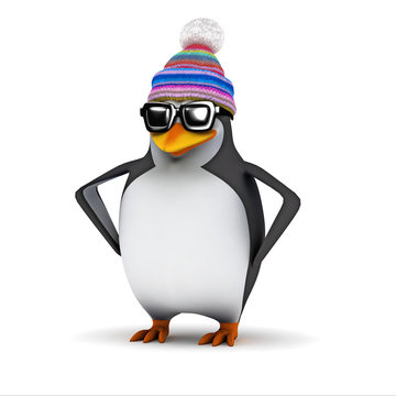 3d Penguin wears his wooly hat