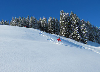 Fototapeta na wymiar Skifahren in traumhafter Winterlandschaft