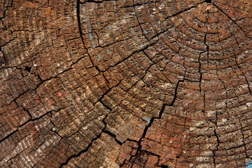 Faded closeup wood