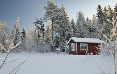 Winter cold Swedish details