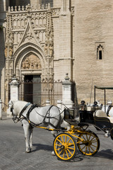 Seville - Tourist horse carriage