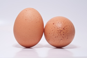 Two eggs isolated on a white background