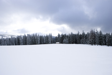 verschneite Hütte im  Winterwald