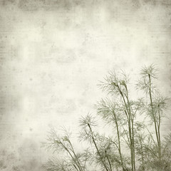 textured old paper background withgrowing young dill plants