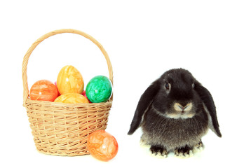 Frohe Ostern