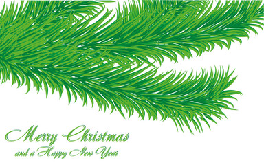 Christmas greetings card with fir tree branch, vector