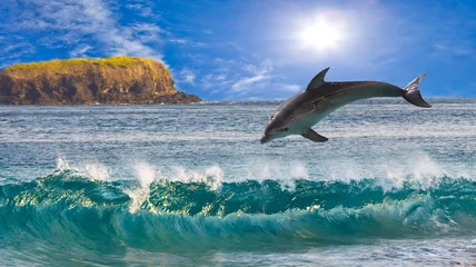 Crédence de cuisine en verre imprimé Dauphin Le dauphin saute des vagues à l& 39 océan