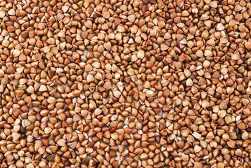 Buckwheat background