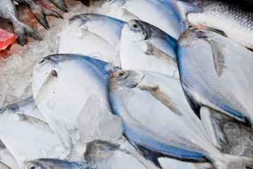 Obraz premium variety of fresh fish in market