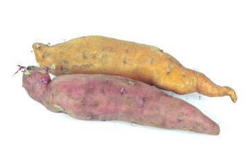 The sweet potato - batat