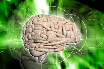 Brain in digital background
