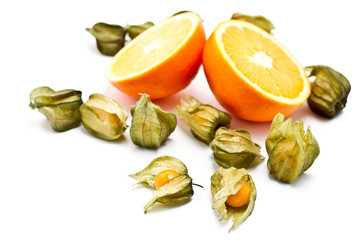 Orange, Physalis auf weißem Grund