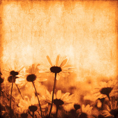 Grunge floral background - 28622145
