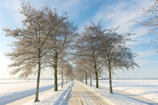 Snowy road