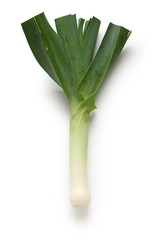 leek