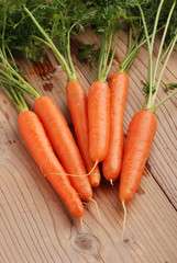 carote uno
