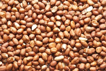 A close up image of peanuts