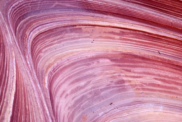 Paria Canyon. Arizona