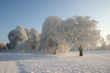 Obraz premium winter 4
