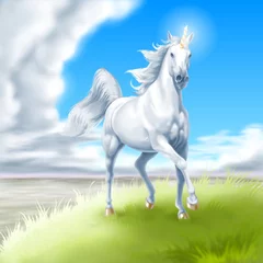 Wall murals Pony unicorno bianco