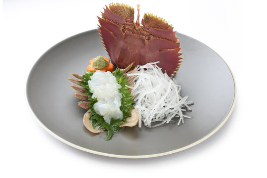 Fan Lobster Sashimi , Japanese Food