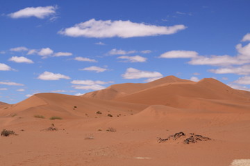 Fototapeta na wymiar Dunes du Namib