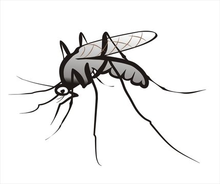 mosquito isolated sketch in black lines