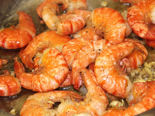 Scampi, Garnelen