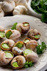 bourguignonne snail- lumache alla bourguignonne