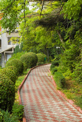 A lonely path in empty park.