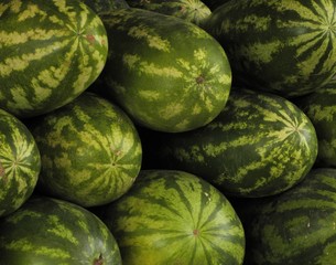 melonen