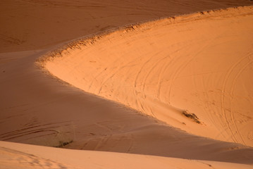 Fototapeta na wymiar Sand Dunes, Coral Pink, Utah