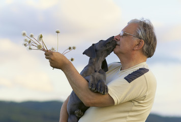 Old man with a puppy of Great dane.