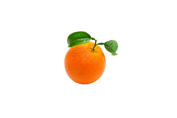 orange isolated on white background