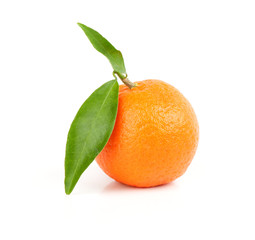 Mandarin