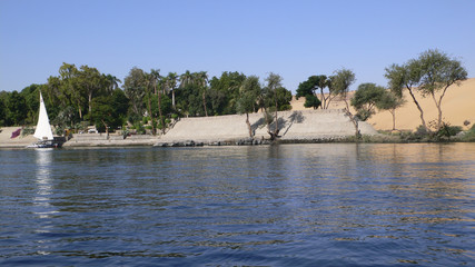 Fototapeta na wymiar Na brzegu Nilu