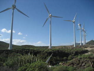 Windmühlen