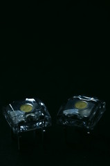 FluxLED/黒バック