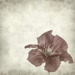 textured old paper background with large purple cleamtis flowerh
