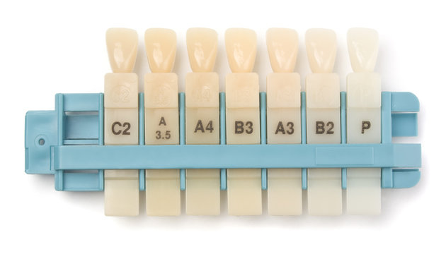 Dental Teeth Shades Samples