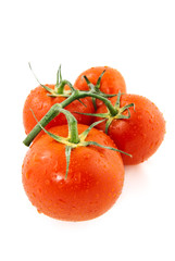 Tomato branch