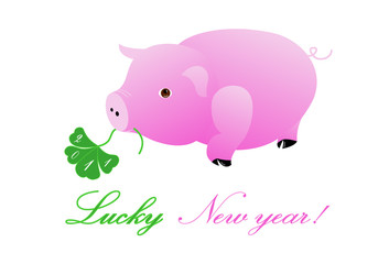 Lucky Pig