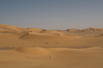Fototapeta na wymiar Dans les dunes de Tittersine