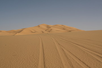 Fototapeta na wymiar Traces dans les dunes de Tittersine