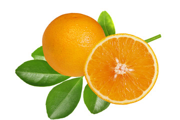 Orange Fruit