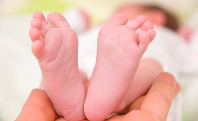 Newborn Baby`s feet in Daddy`s hand
