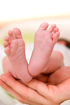 Newborn Baby`s feet in Daddy`s hand