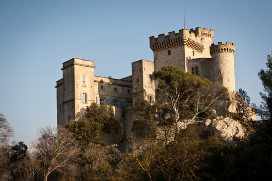 Lovely view of The ch&acirc;teau of la Barben in Provence, southern Fr